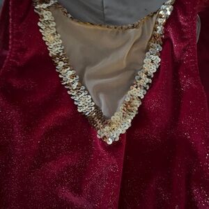 EUC glittery and velvet  dance costume.